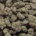 Greenhouse Garlic Cocktail THCA Hemp Flower