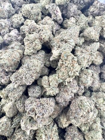 Indoor Sour Belts THCA Hemp Flower