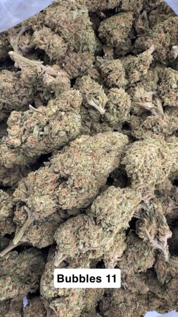 Greenhouse Bubblez 11 THCA Hemp Flower