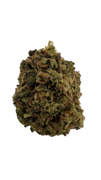 AA Light Assists Government Oasis THCA Hemp Flower