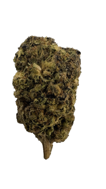 AA Light Assists Italian Ice THCA Hemp Flower