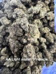 AA Light Assist Pinnacle THCA Hemp Flower